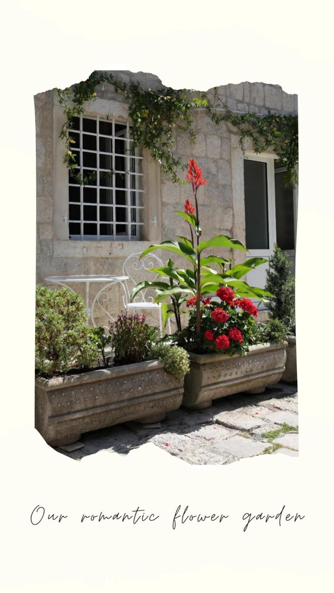 Apartments Visit Perast Kültér fotó
